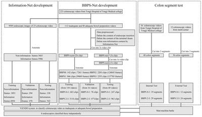Development and validation of a three-dimensional deep learning-based system for assessing bowel preparation on colonoscopy video